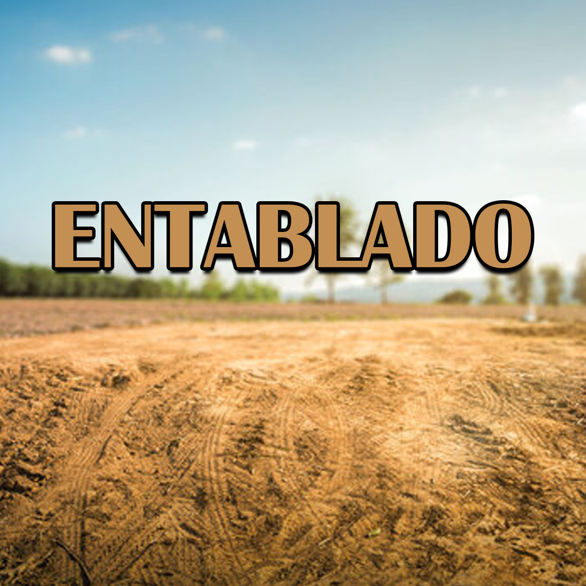 ENTABLADO Block 4 Lot 13
